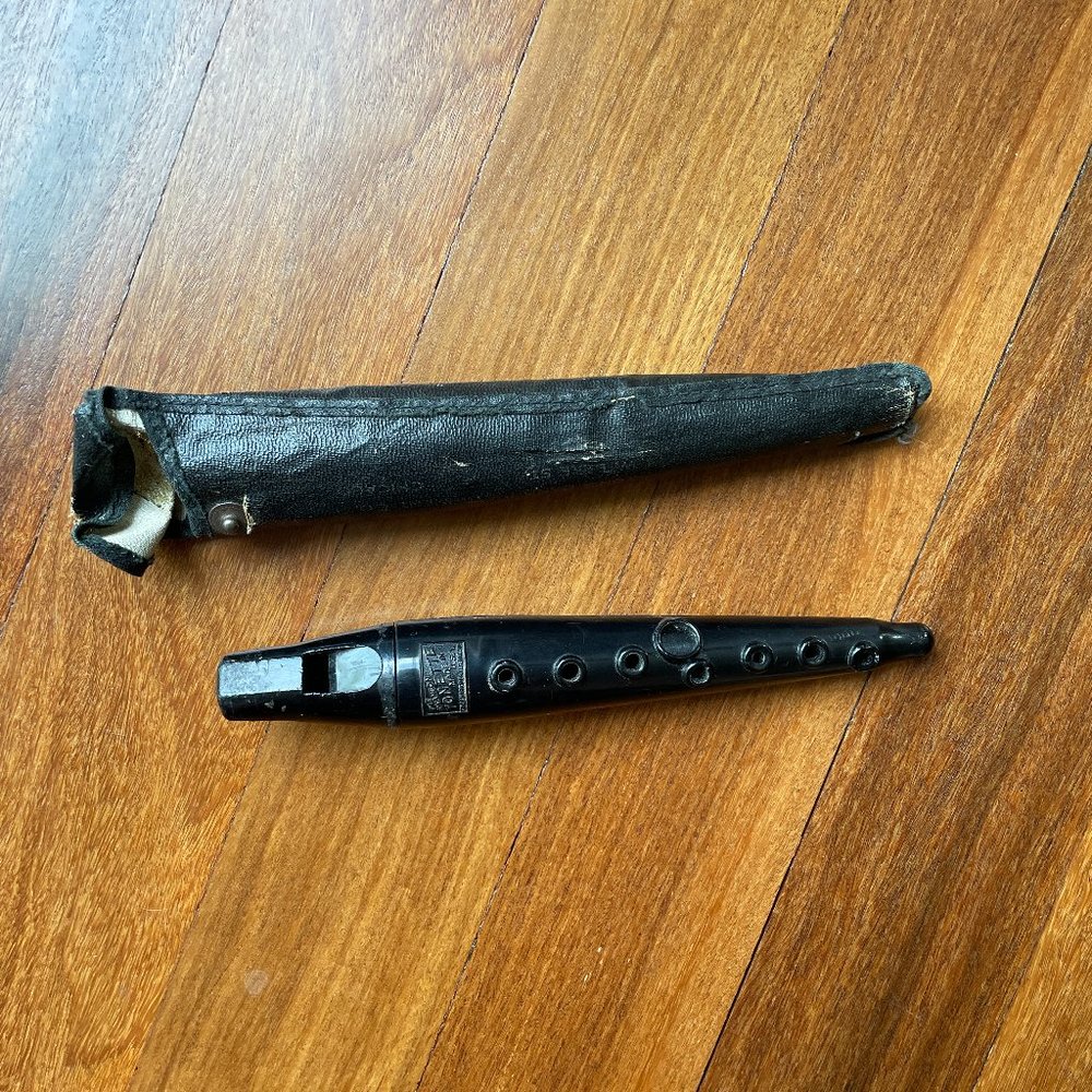 Vintage Tonette and Case